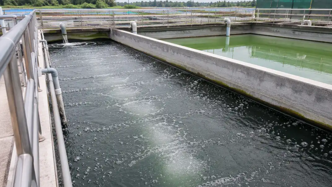 Tratamento de Efluentes da Aquicultura: Fontes, Poluentes e Métodos que Funcionam