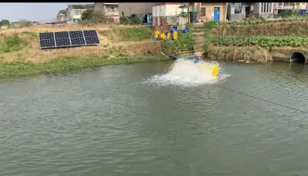 Aerador Solar para Tanque de Peixe | Economia de Energia