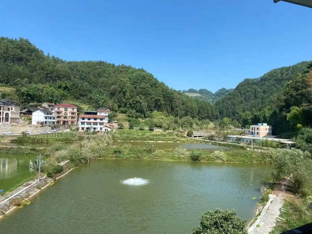 Momentos corretos de uso do aerador no viveiro para economizar energia e aumentar a produção